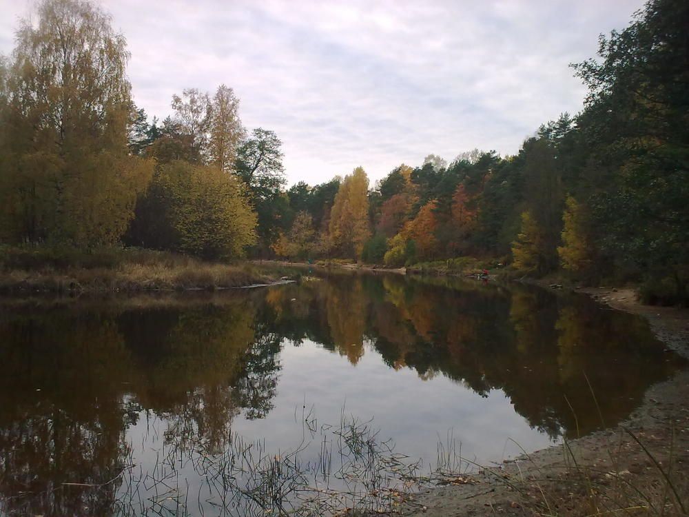 Осень. Черная речка.