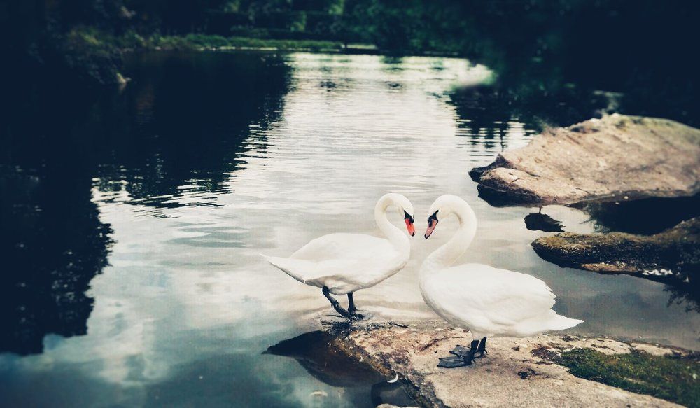 Photograph by Елизавета