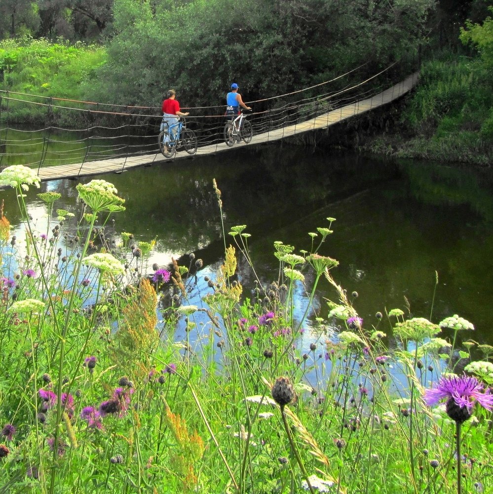 За спиной - краски лета. Дачники.