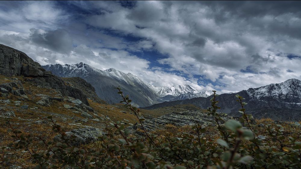 Суровое спокойствие Алтая