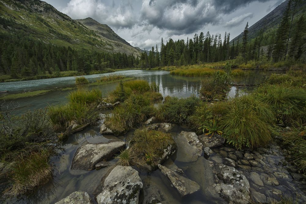 Где берет свое начало Мульта