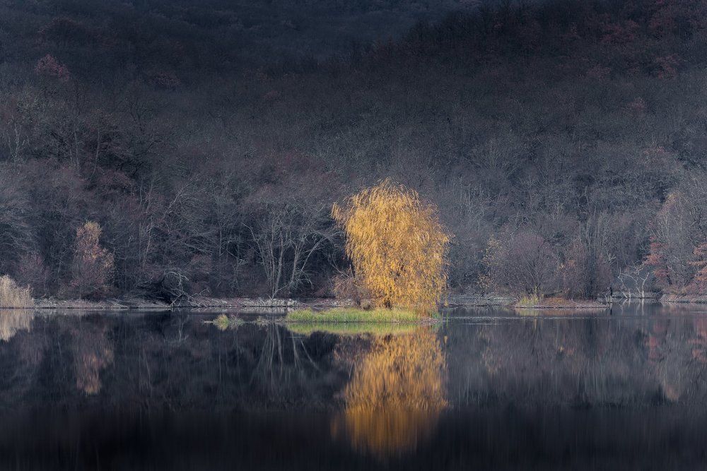 Photograph by Oleg Feofanov