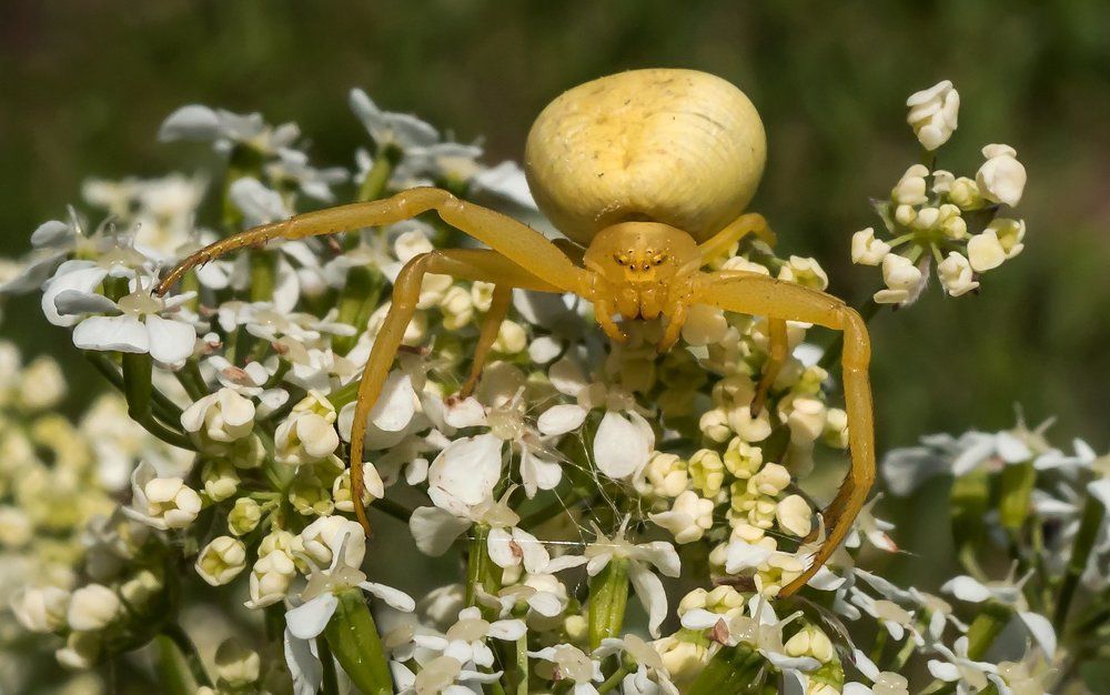 Photograph by Viktor Makarov