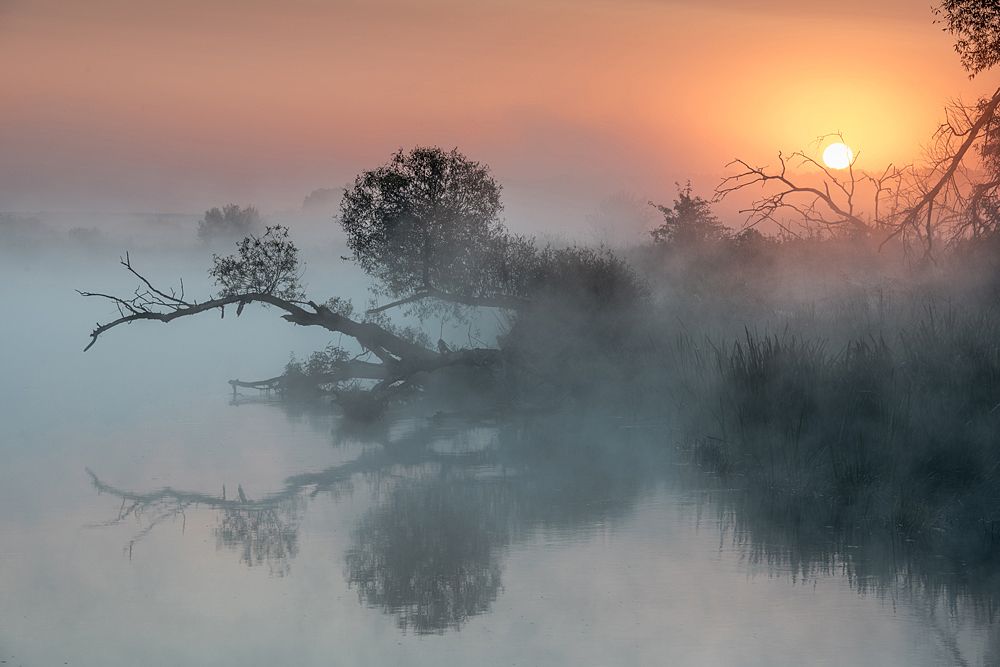 Первые мгновения