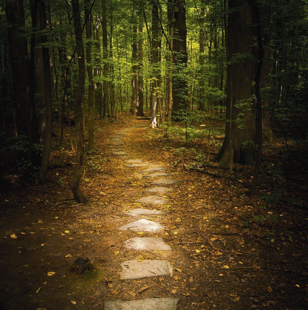 Без названия.