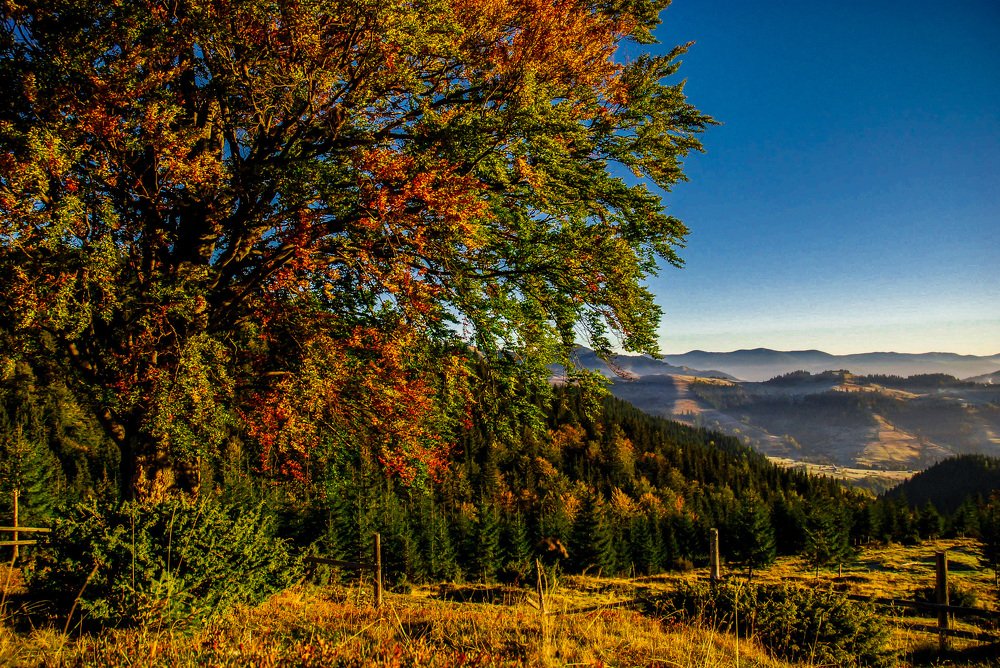 осінь фарбами іграє