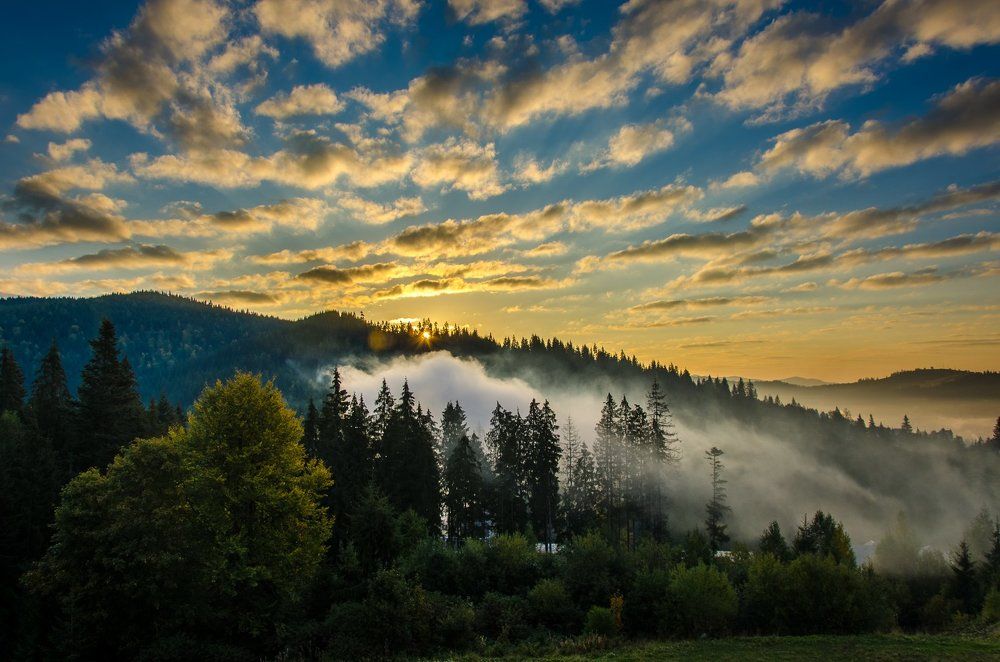 Photograph by Владислав Матвиенко