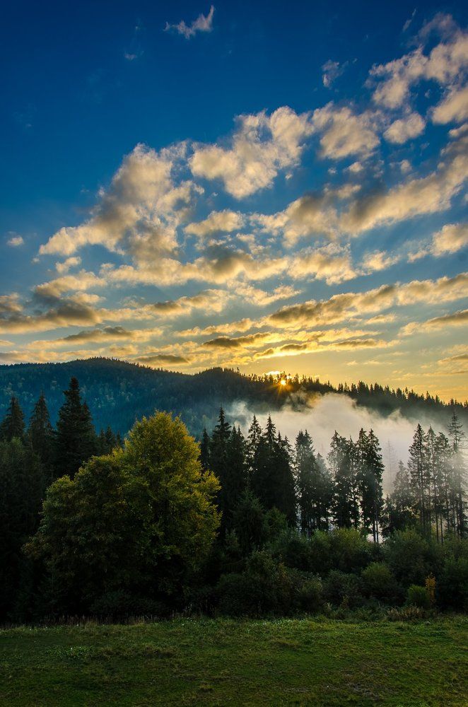 Photograph by Владислав Матвиенко