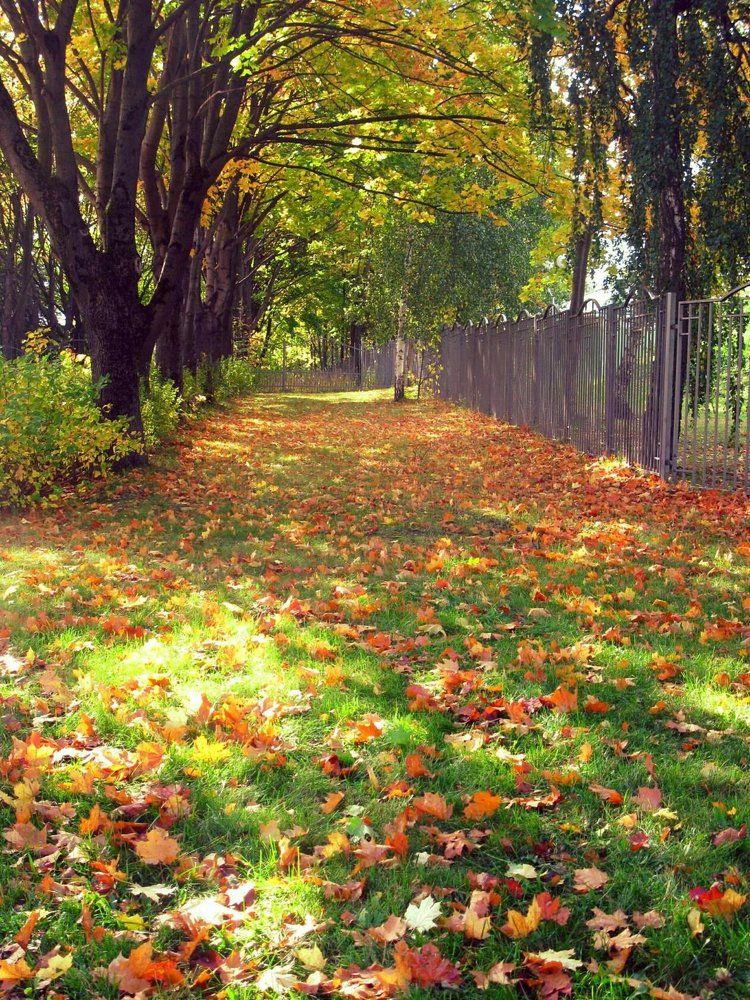 Осеннее мгновение..