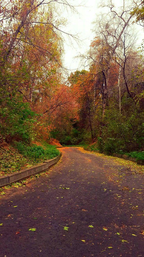 Волшебство..