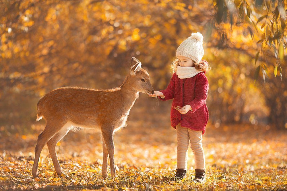 Интересная встреча