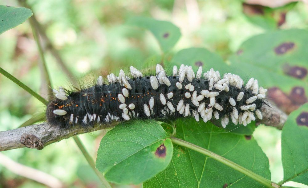 Все свое ношу с собой.