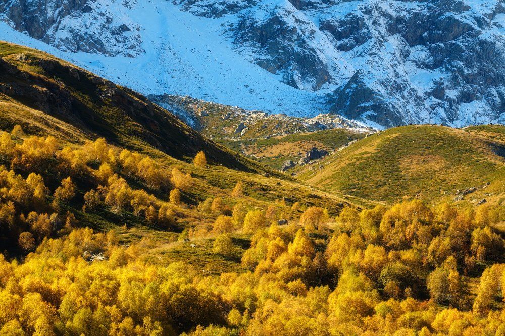 Встреча осени с зимой