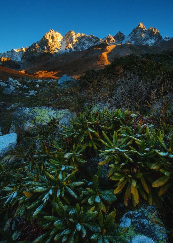 Морозное утро