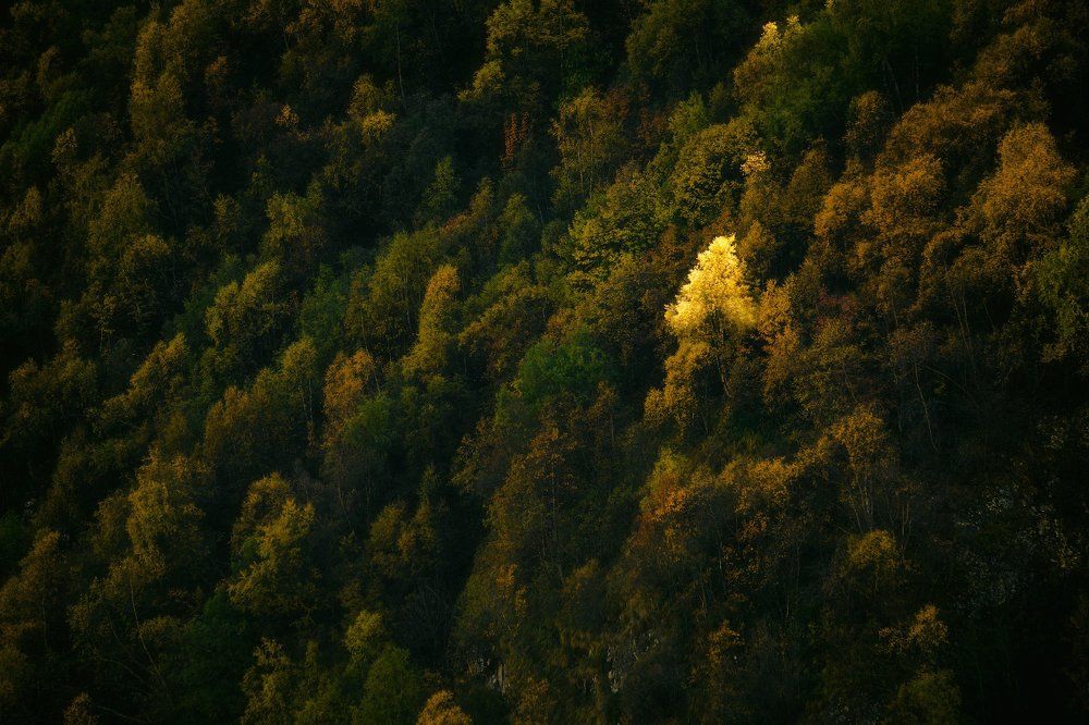 Не такой, как все