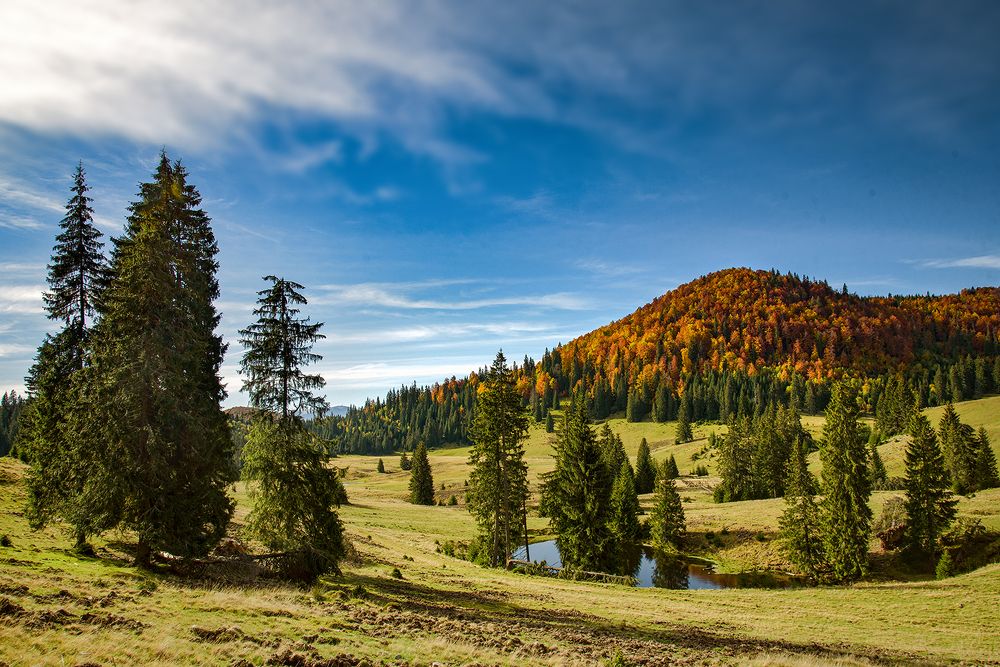 Осень в Апусенах