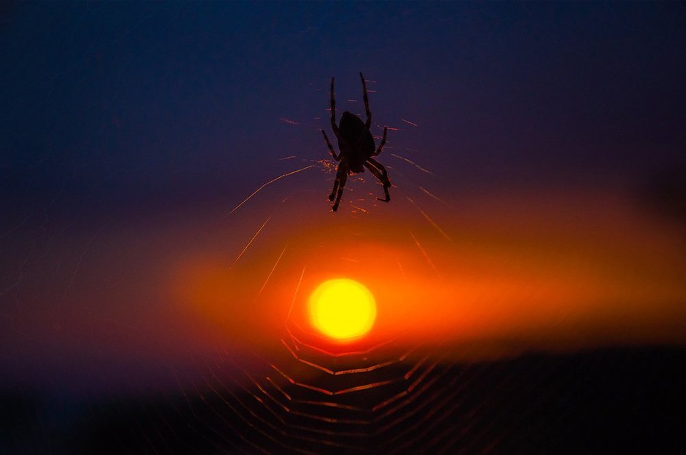 Украденное солнце