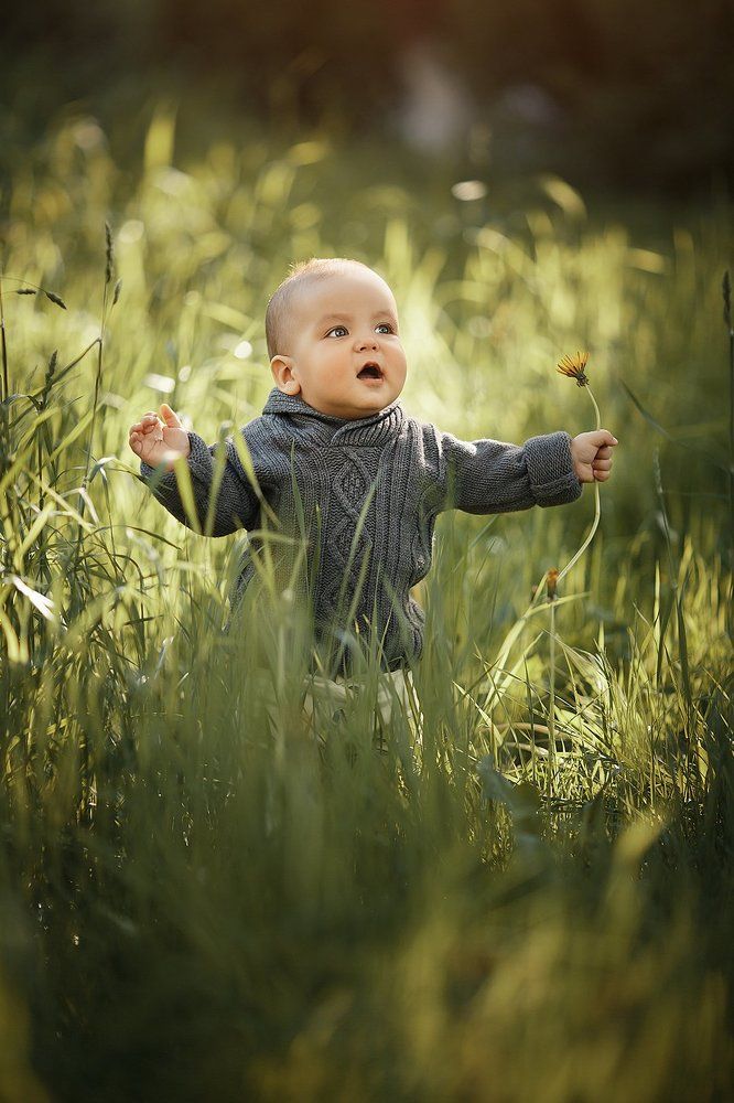 летняя зарисовка