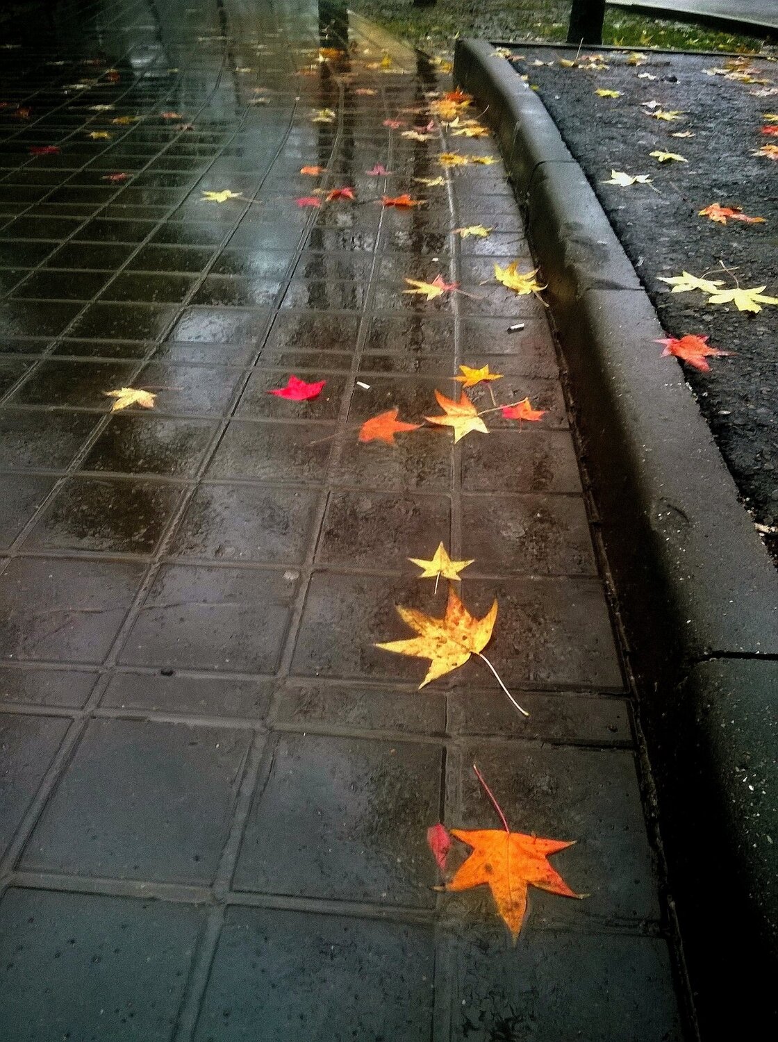Photo #2047751
