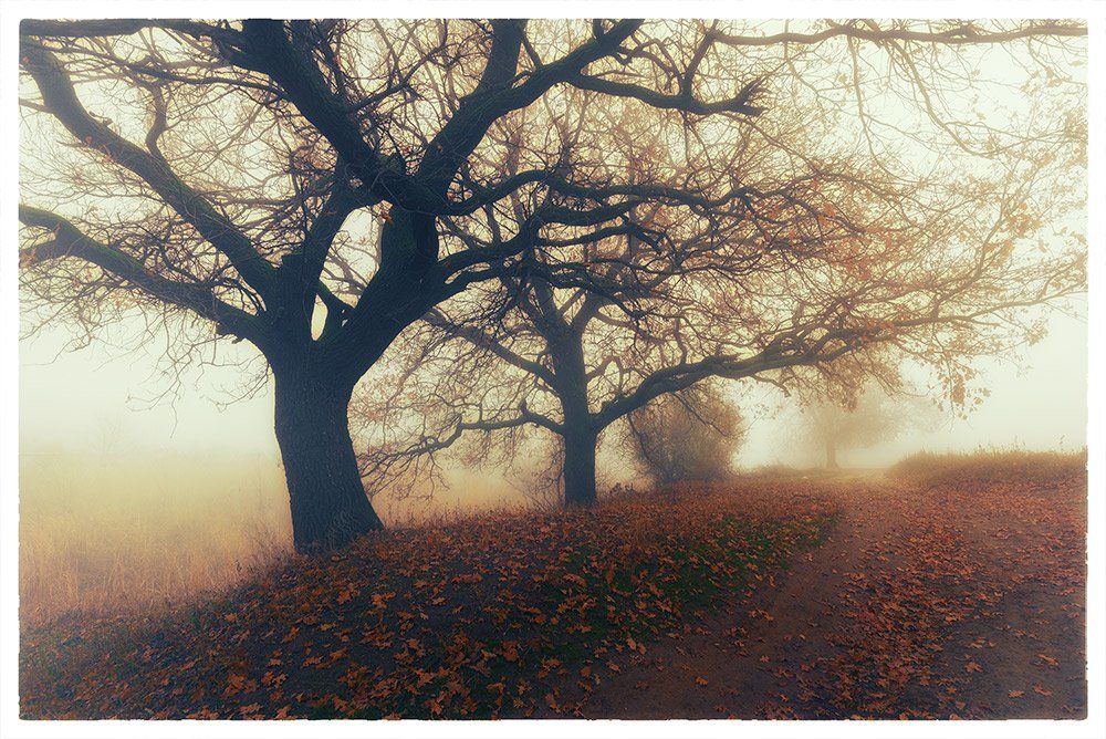 Фотография автора Игорь Баранов