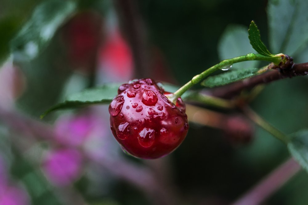 После дождя