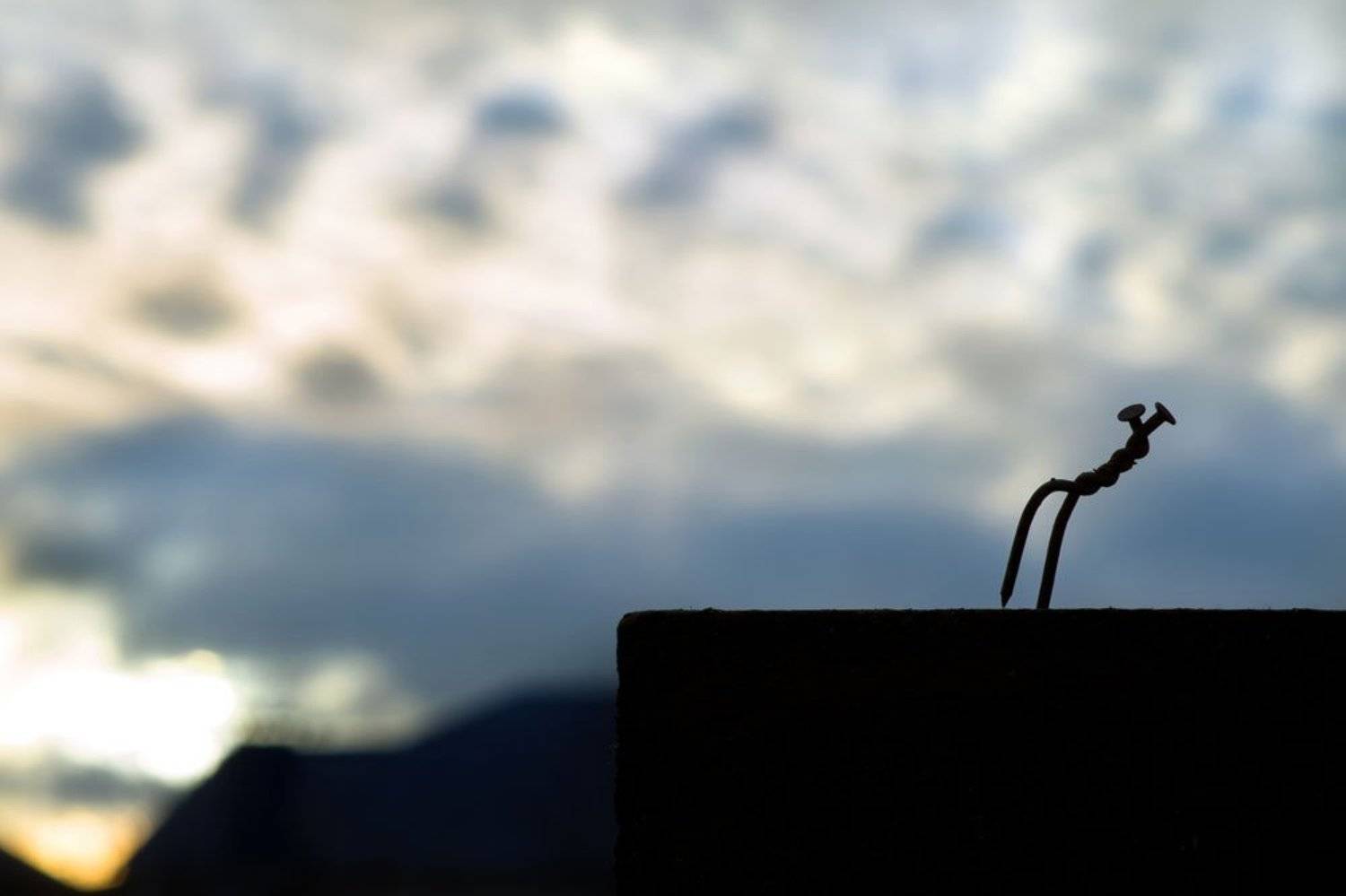 Вместе и навсегда...