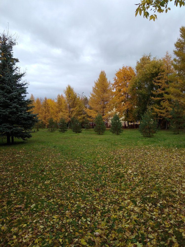 Осенний день