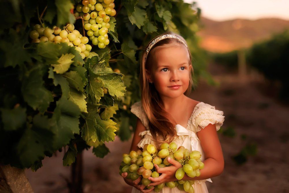 Богатства Крыма