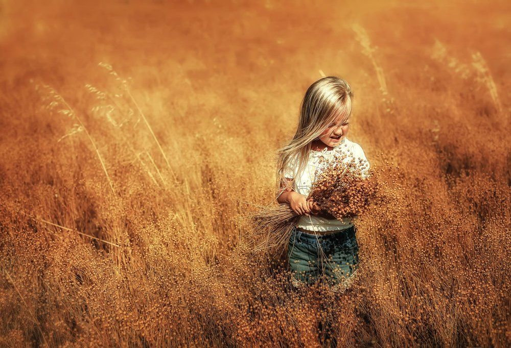 Льняное поле