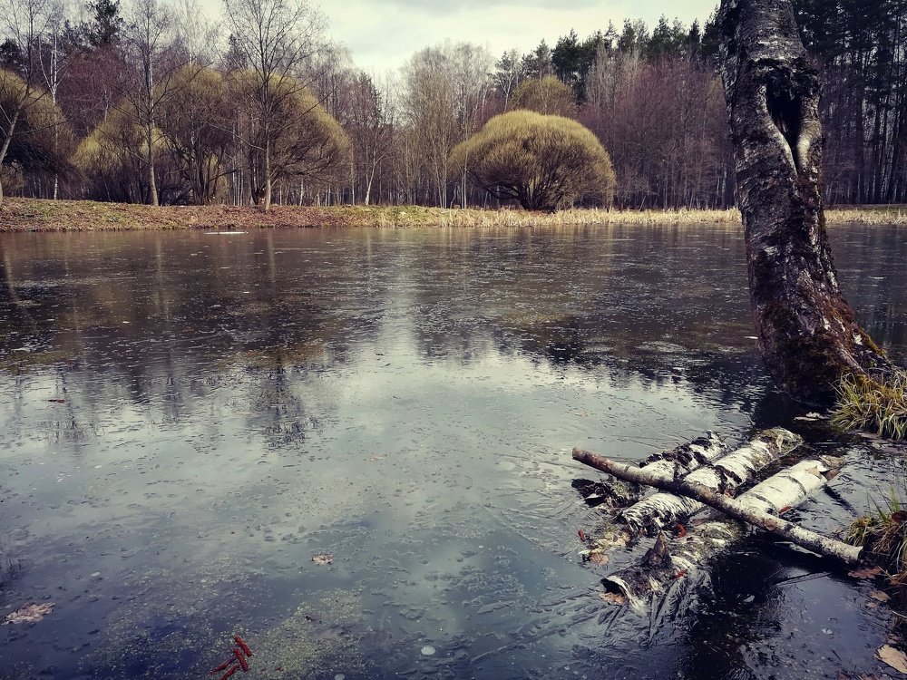 Подморозило