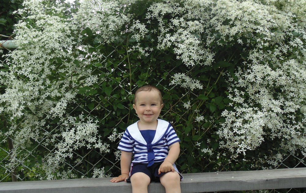 Photo #2048143