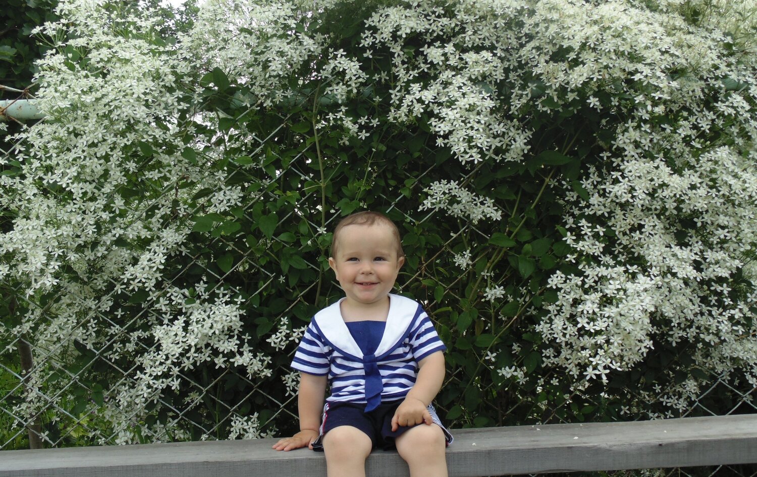 Photo #2048143