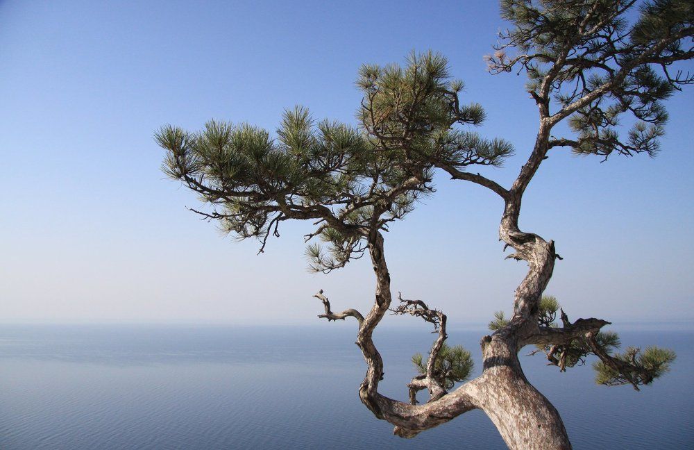 Бескрайний горизонт