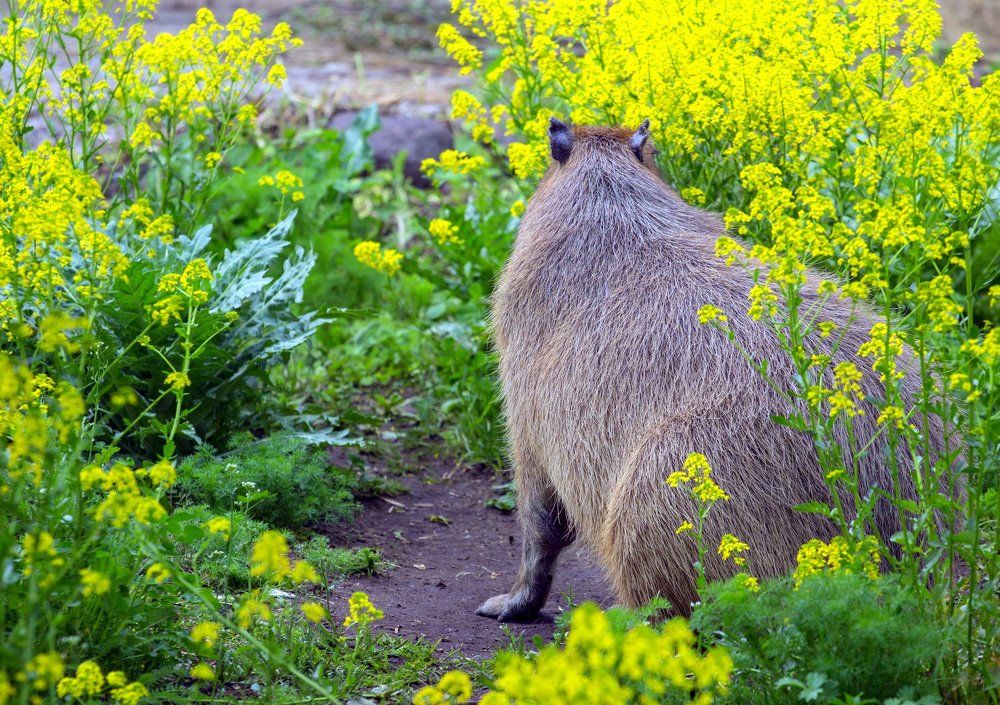Не люблю фотографироваться!