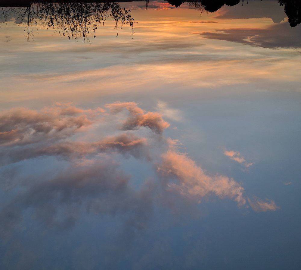 Photo #2048548