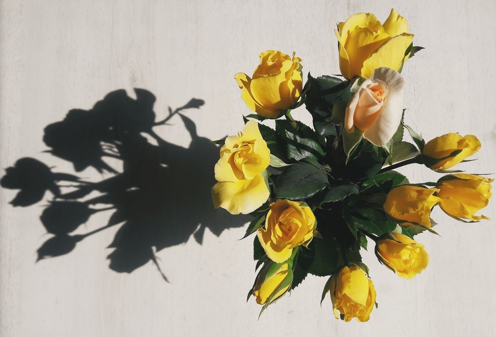 Желтые розы - это к расставанью?