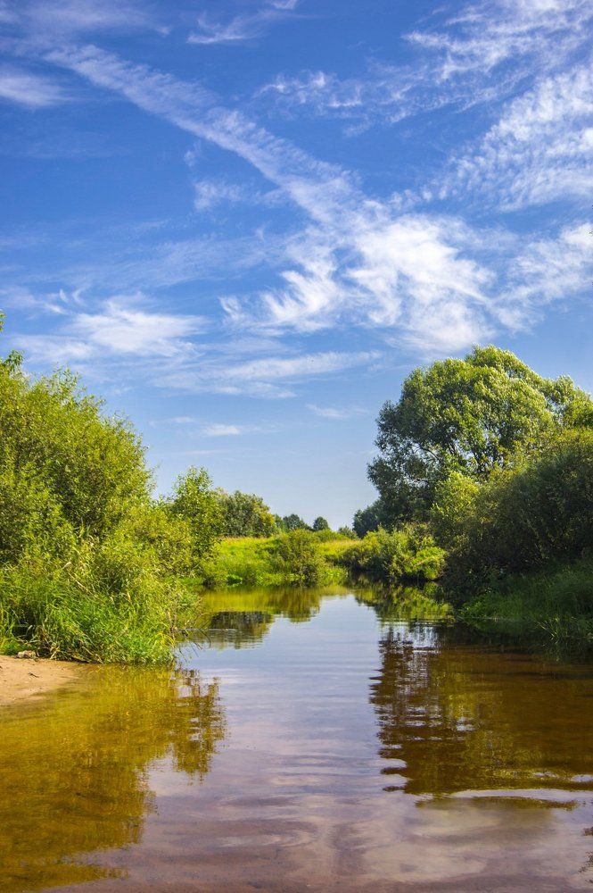 Летний день