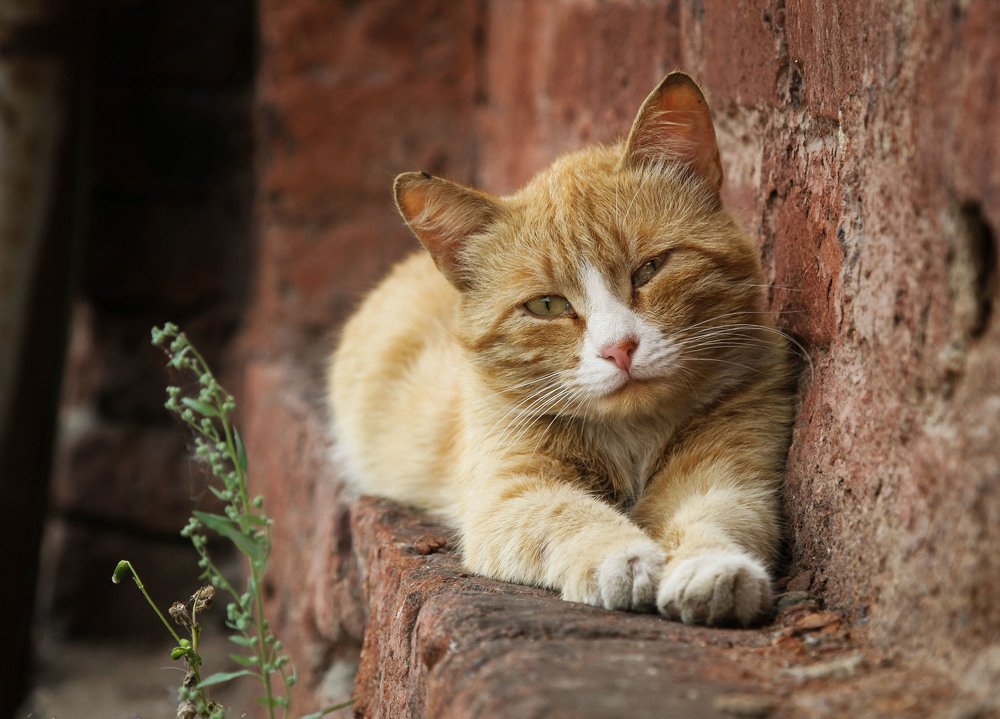 Photograph by Иванов Максим