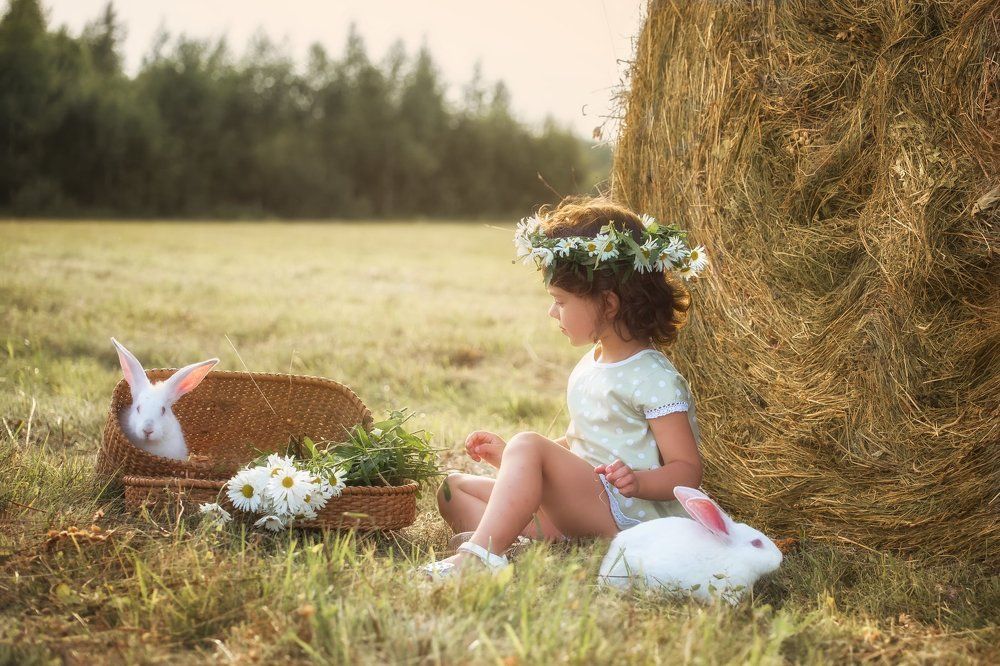 Отдых в летний полдень