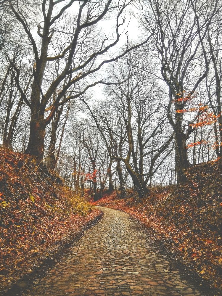 Photograph by Зачепило Евгений