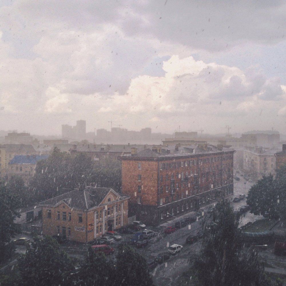 Photo #2049051