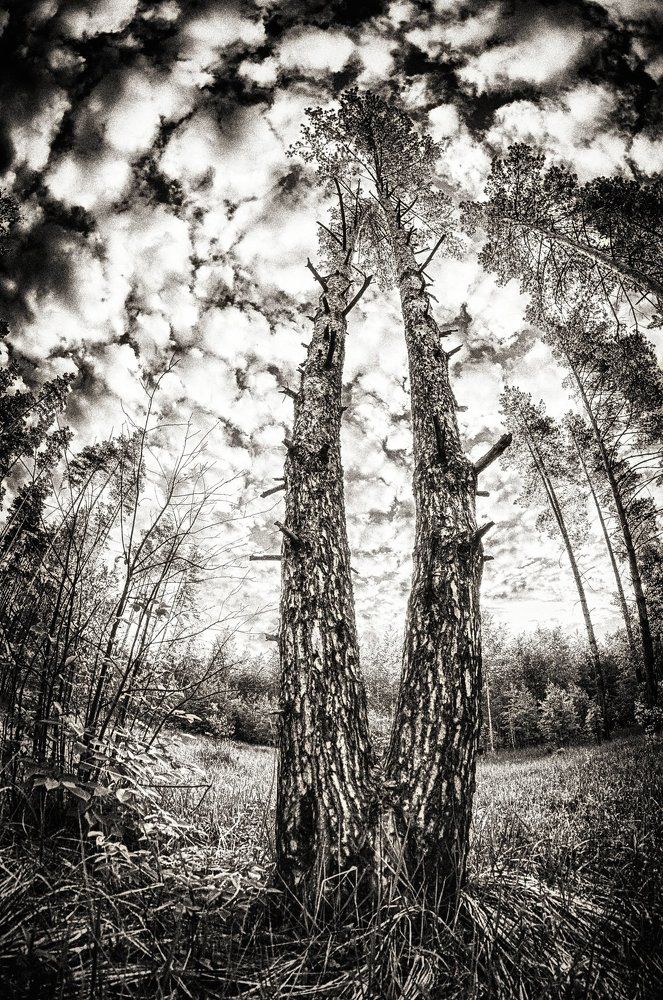 Фотография автора Евгений Лобачев