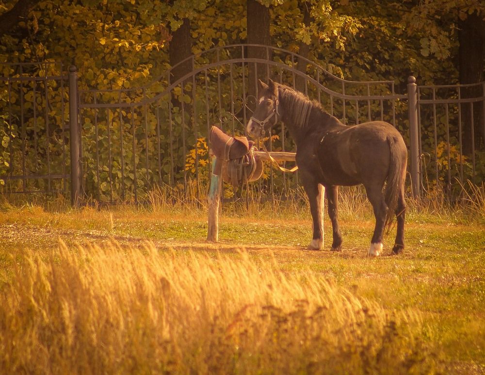 Настроение