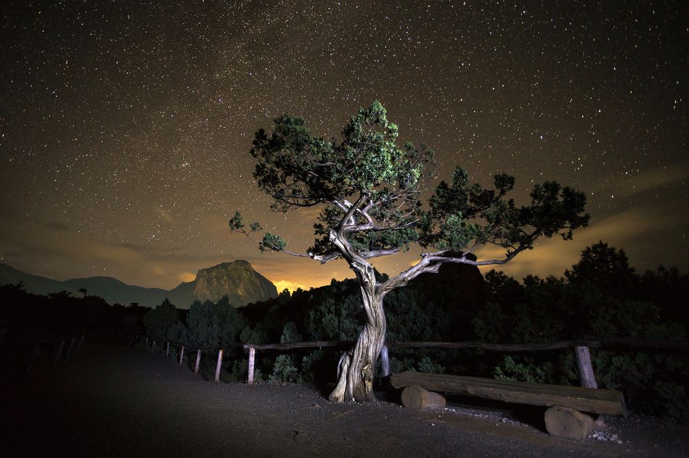 Photograph by Vadim Borkin