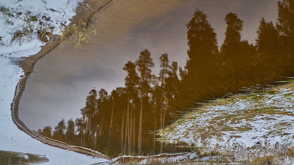 Под небом осени