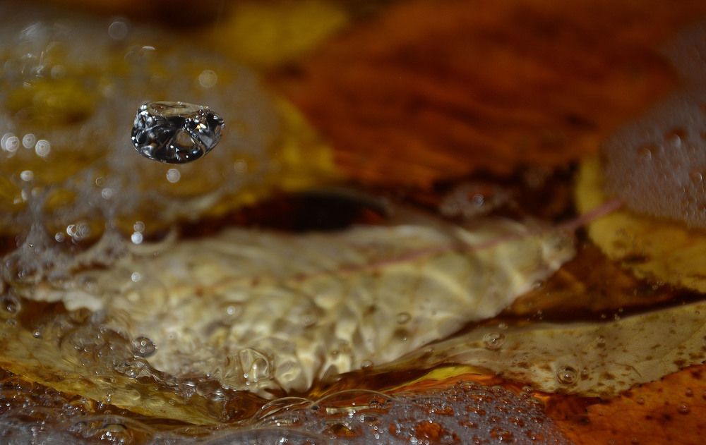 Осенний дождь и листья