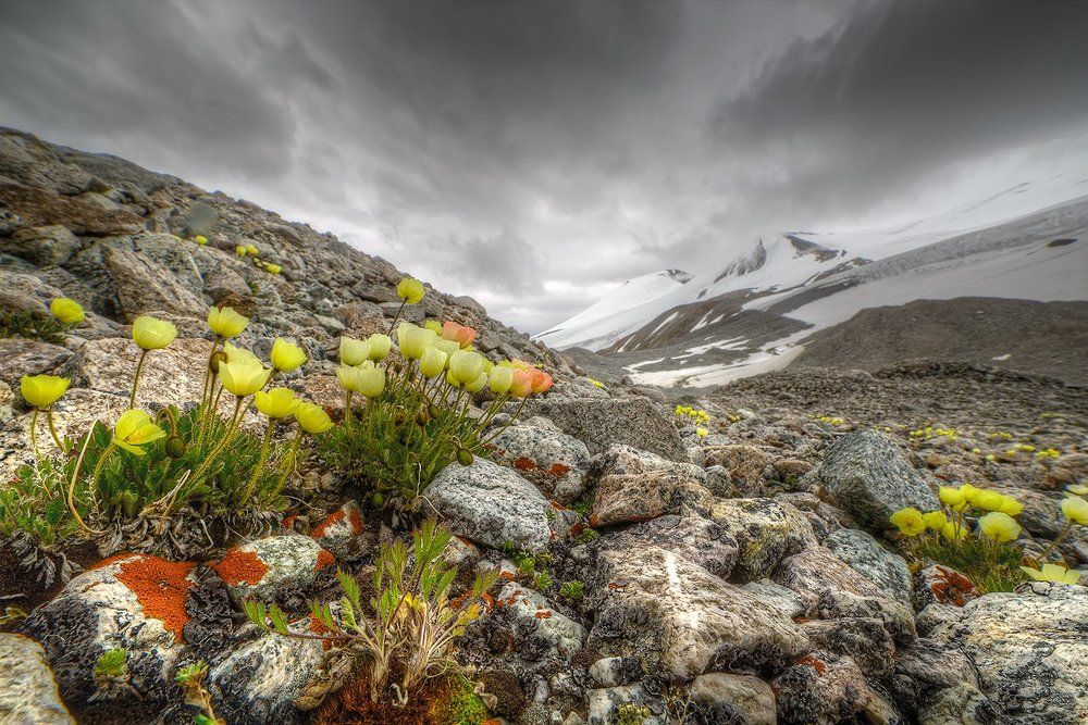 Слушая шёпот духов