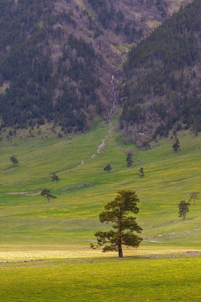 В солнечных лучах
