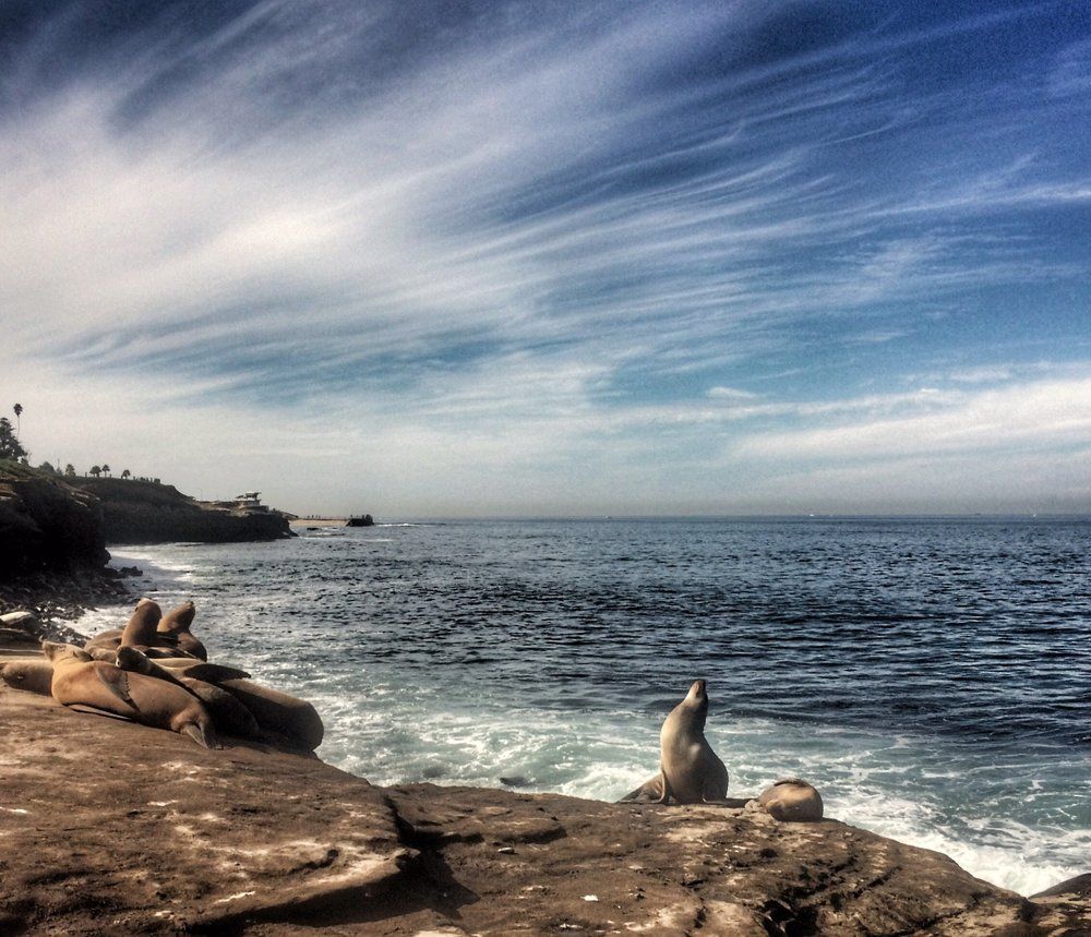 Sunbathing in Califórnia