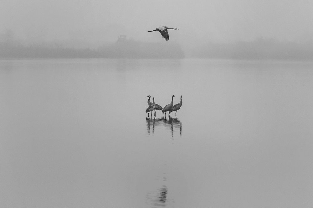 Photograph by Maxim Sayapin